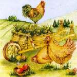 Tausche