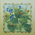 Sammelst&uuml;ck
